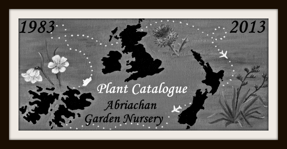 Plant Catalogue 2013 - Abriachan Nurseries